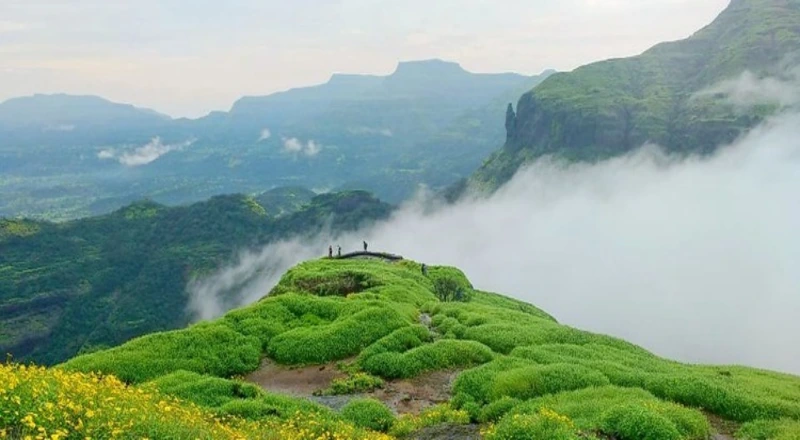 About 2024 07 19t04 31 20.659zigatpuri2.webp